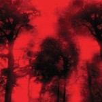 Remake de Cabin Fever para Kevin Riepl