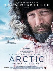 Póster Artic