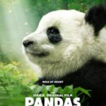 Mark Mothersbaugh en Pandas