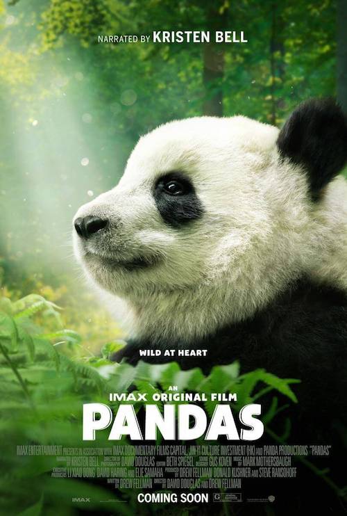 Mark Mothersbaugh en Pandas