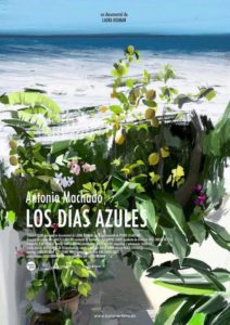 Póster Los días azules