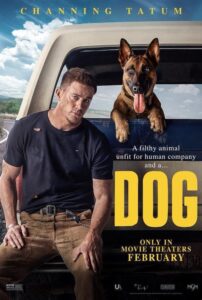 Póster Dog