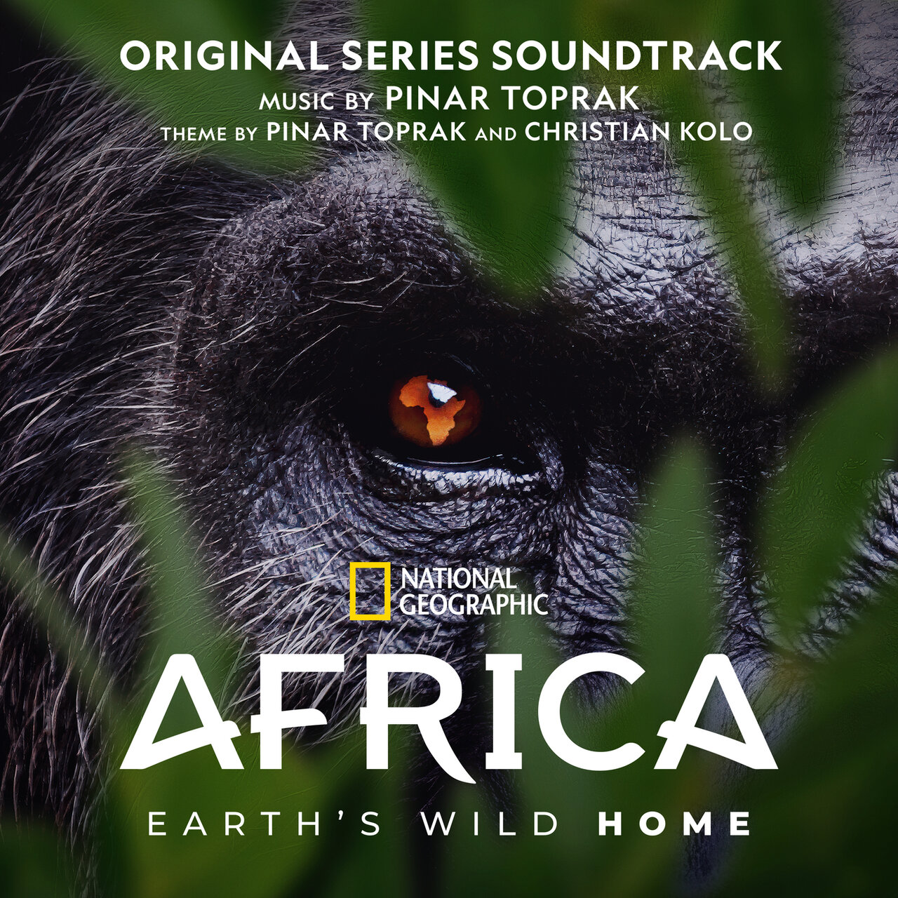 Hollywood Records edita Africa Earth’s Wild Home de Pinar Toprak